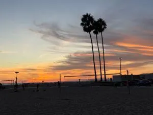 A beach at sunset with orange and purple clouds, three tall palm trees, volleyball nets, and a few people playing on the sand; parked cars and buildings are visible in the background.