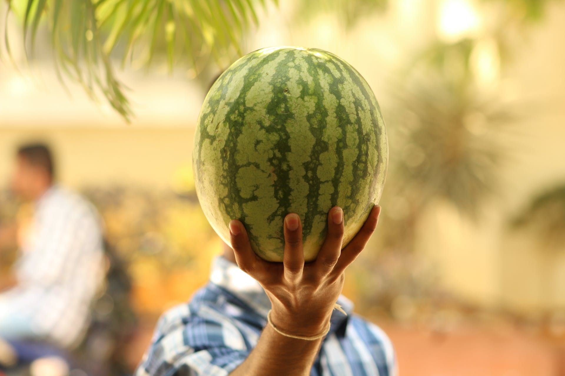 A person holding a whole watermelon in front of their face.