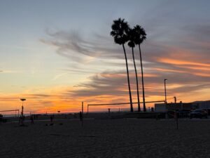 A beach at sunset with orange and purple clouds, three tall palm trees, volleyball nets, and a few people playing on the sand; parked cars and buildings are visible in the background.
