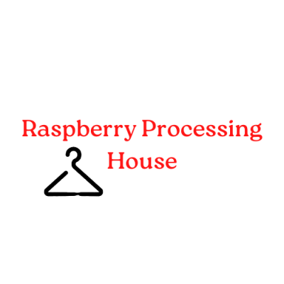 Raspberry Processing