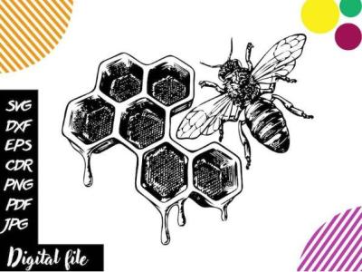 Honeycomb Svg
