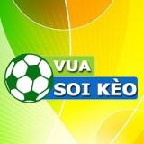 vuasoi
