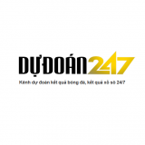 Dự Đoán 247