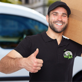Removalists