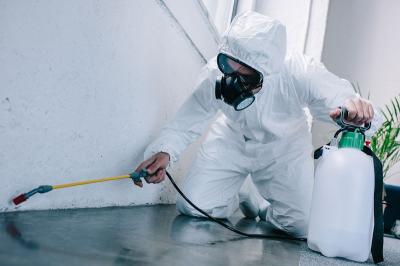 Pest Control Dandenong